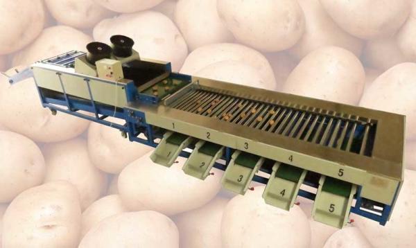 Buy cheap Integrated Type Automatic Potato Cleaning and Grader Line from wholesalers
