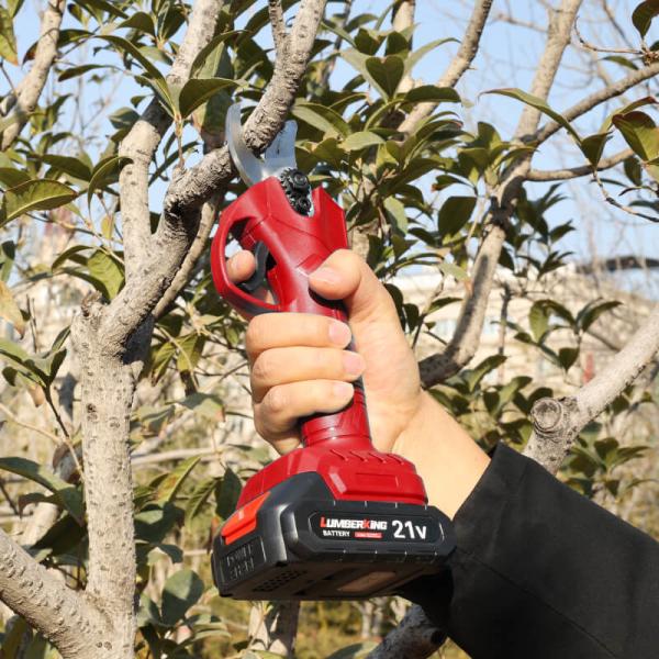 Buy cheap Long Reach Gardening Tree Branch Cut Cordless Pruning Powered Electric Shears from wholesalers