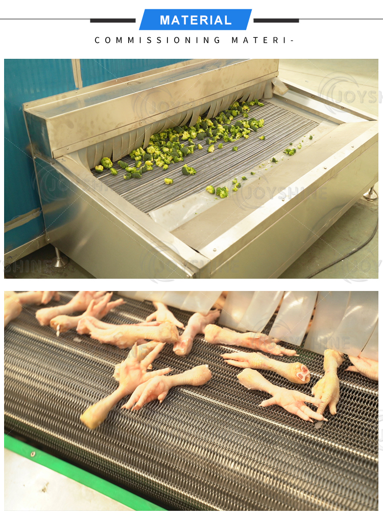 Frozen Vegetables Processing Line Belt IQF Freezer With Stainless Steel 304 1000kg/H