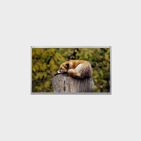 Buy cheap 18.5 inch LCD Display 1920*1080 LVDS 1000nits 0-50℃ from wholesalers