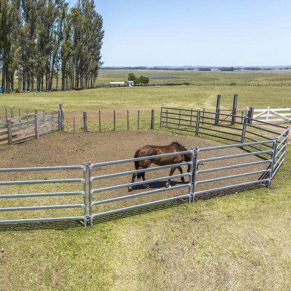 Hot Dipped Galvanized 12 Ft Portable Fence Panels For Horses Heavy Duty Farm