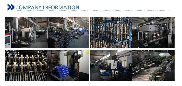 Low Noise Big Torque Worm Gear Box with Electric Motor