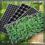 200 Holes Nursery Tray Plastic Seedling Tray Mango Plant Tomato Cell Trays