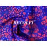 Buy cheap Topgreen Eco Olympus Workout Lycra Xtra life Fabric Athleisure Fitness Wearing from wholesalers