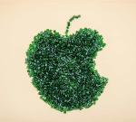 100% Recycled Post-Consumer PET Resins For Plastic Packing Package