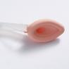 Buy cheap Tracheal Cannula Laryngeal Tube Airway LMA Endocrinology from wholesalers