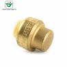 Buy cheap NSF61 1/2" Copper Push Fit Fittings Yellow End Caps from wholesalers