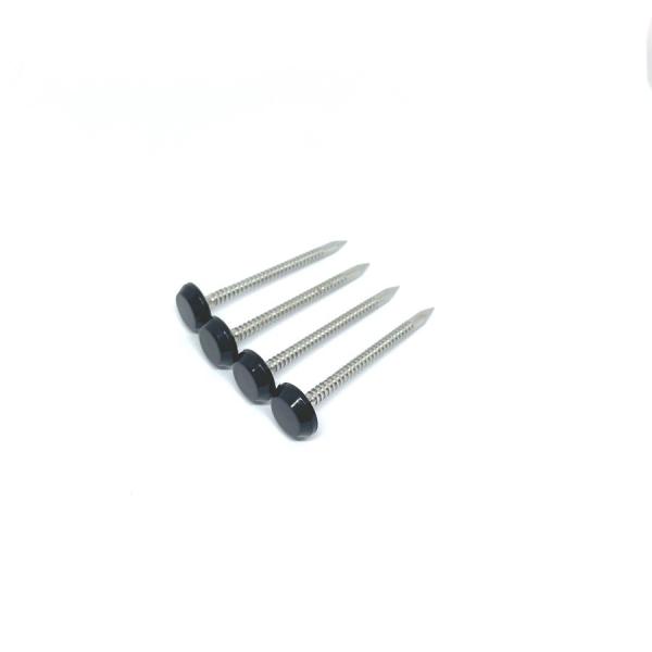 Buy cheap Annular Ring Shank Plastic Roofing Nails 50MM Polished SS316 from wholesalers