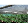 Buy cheap sun shade net,weel contol net,greenhouse film,fibc bag,Cheap Weed Control Fabric/Heavy Duty Weed Mat/Landscape Barriers from wholesalers