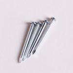 Galvanized Steel Construction Nails Flat Head High Strength Customized
