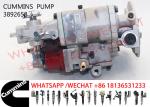 3892658 NTA855 3095502 3895537 Diesel Engine Fuel Pump
