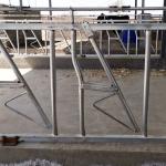 Hot Galvanized Length 6m Cattle Headlock Gate Anti Corrosion Pipe