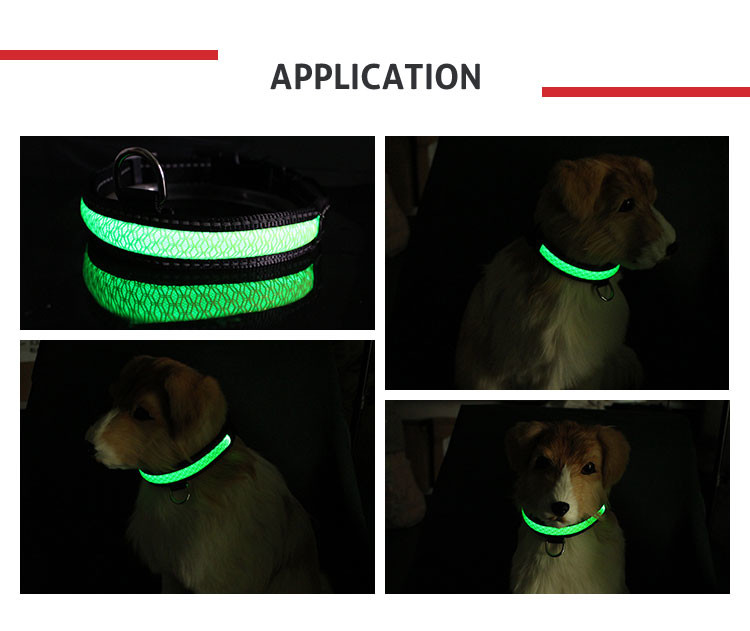 Pet Nylon Luminous Fluorescent LED Dog Collar Leashed in Dark Size S / M / L