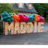 Buy cheap Led Numbers Giant Light Up Letters Led Marquee Alphabet Letters for Birthday Decor Party from wholesalers