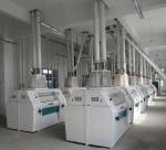 Wheat Flour Mills India 100000 KG Capacity Ideal for Commercial Maize Milling