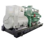 380/220v 50/60hz Rated Voltage Green Power Wood Pellet Electric Generator 500kva