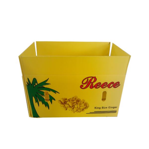 Buy cheap PP Corrugated Vegetable Packaging Box 5mm Vegetable Corrugated Boxes from wholesalers