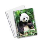 Wholesale customized hot sale size A6 A5 A4 PET spiral 3D lenticular CMYK