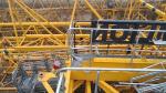 Zoomlion Tower Crane Sell 22 Years of Construction Machinery Maximum Lifting