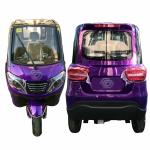 40 - 60km Enclosed Three Wheel Electric Trike