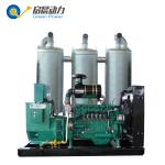 CHP 1000KW Gas Generator Biogas Natural Gas LPG as Fuels