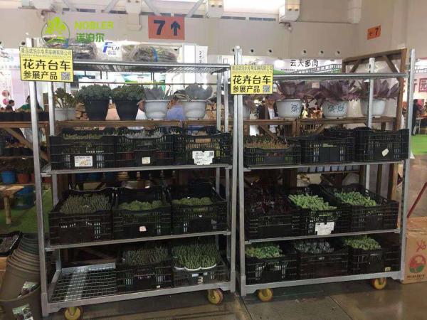 Buy cheap BPA Free Plastic Reefer CC Containers for Food Storage and Transportation from wholesalers