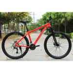 Teenager Christmas Gift 24 Speed Mountain Bike with Titanium Frame and Durable