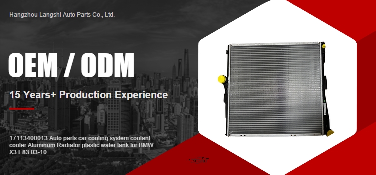 BMW X3 E83 03-10 Auto Parts Car Cooling System Aluminum Radiator with Plastic Water Tank