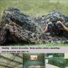 Buy cheap Camuflada Hunting Camo Net Bulk Roll Thermal Multispectral Polyester Camouflage Net for Game Sunshade Decoration from wholesalers