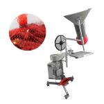 800W Semi Automatic Net Packaging Machine Fruit Bag Ticketing Packing Equipment