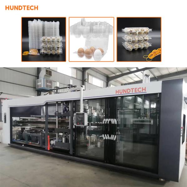 Buy cheap 1.5mm Thickness Tray Forming Equipment Egg Container With Lid Thermoforming Machine from wholesalers