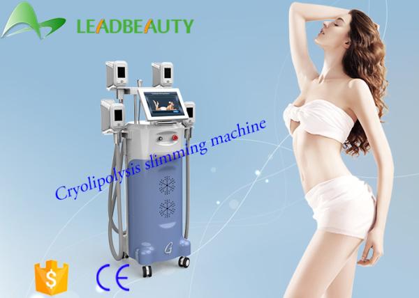 Buy cheap bottom price vertical cryolipolysis fat freeze slimming machine from wholesalers
