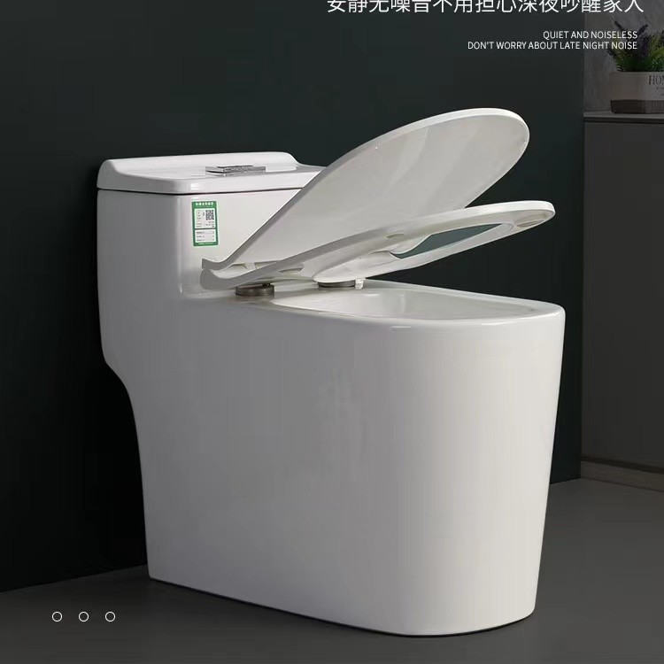 S Trap One Piece Chair Height Toilet Dual Flush Mix Pit Spacing 220mm