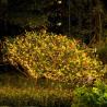 Buy cheap 10M String 100 Led,Waterproof Christmas Light, Led Solar String Light, Fairy Solar Landscape Light, Garden Outdoor from wholesalers