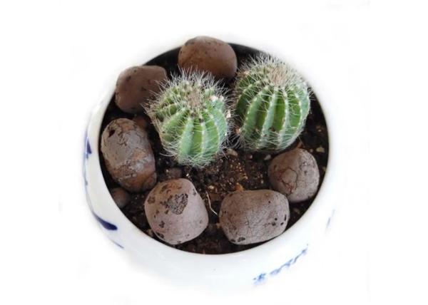 Buy cheap 3-30 mm Hydroponic Growing Medium For Water Treatment Ceramic Grain Filters from wholesalers
