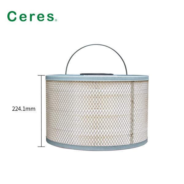 Quality 25211119A-C Ctp Kodak Air Filter 224.1mm Height for sale