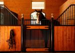 Stable European Horse Stalls Solid Welded 12 Gauge Steel Tubular Frame