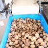 Buy cheap Stainless Steel Food Grade Walnut Shelling Machine 380V 2 Tons Output from wholesalers