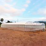 10x30m Side Ventilation Single Span Tunnel Agricultural PC Greenhouse with
