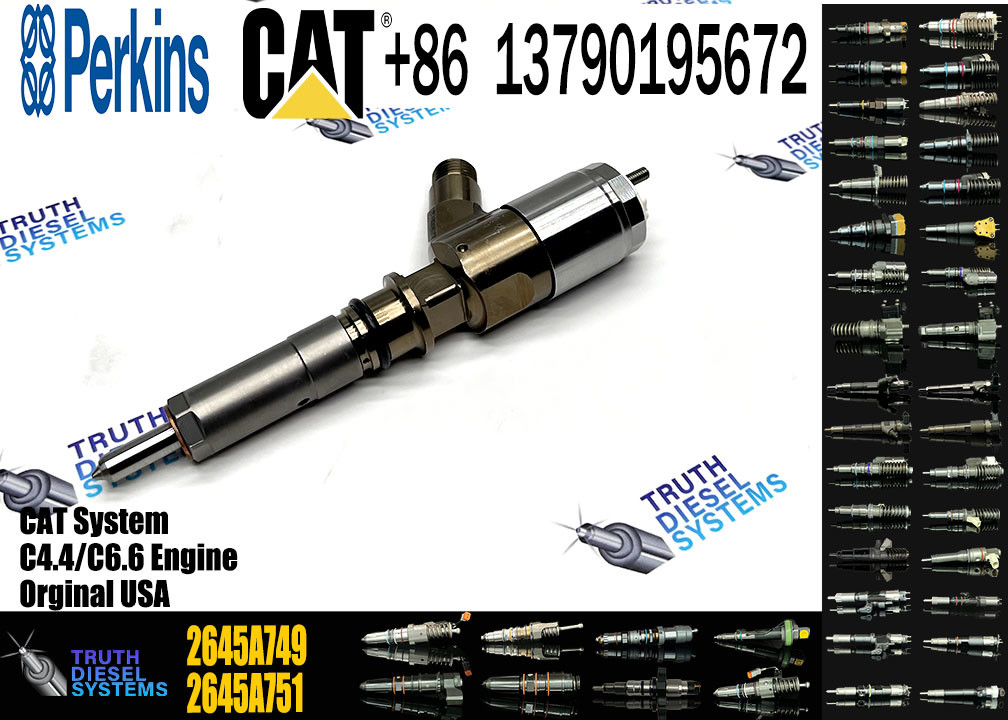 Common Rail Injector 2645A749 2645A747 10R-7671 10R-7672 2645A718 10R-7673 10R-7676 2645A734