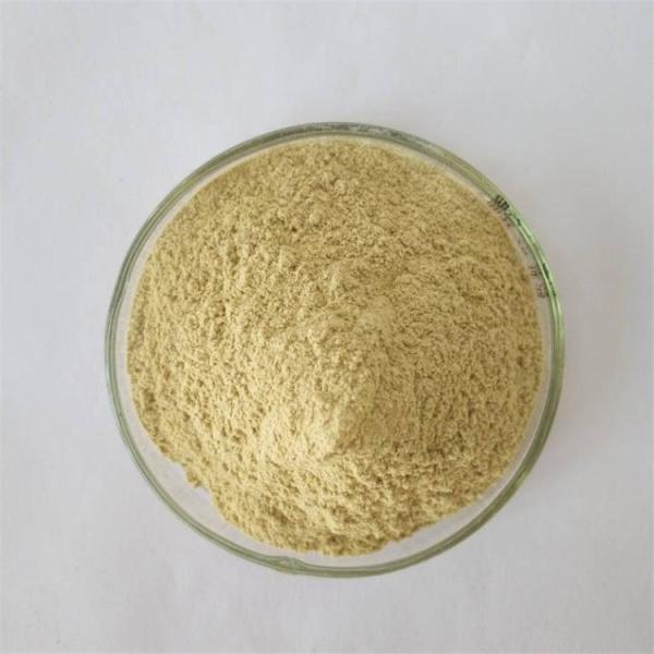 Buy cheap GMP Factory Detoxification Mung Bean Sprout Extract from wholesalers