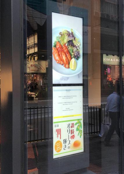 Dual Panel Indoor Digital Signage Store Window Displays, 32 inch E-poster High