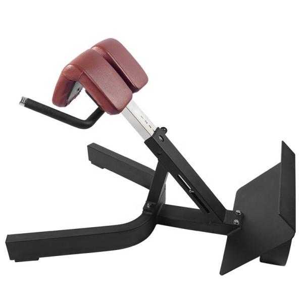 Buy cheap Gym Equipment Roman Chair Abdominals Back Strength Training Adjustable Back Extension Bench from wholesalers