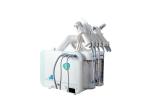 Skin Management Hydrogen Oxygen Machine 6 In 1 Hydrafacial 350W Power