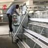 Buy cheap Top Layer Battery Cage System For Chicken Farming 96-200 Birds Robust Wire Construction Iris from wholesalers