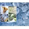Buy cheap Industrial Ice Tube Machine for Business Sale in Philippines 1 Ton Capacity Other Compressor from wholesalers