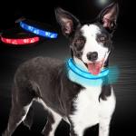 C903 Wholesale Nylon Safety Usb Luminous Dog Collar with Led Light