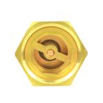 Anti Air Rotation Brass Check Valve Vertical Male Female Check Valve