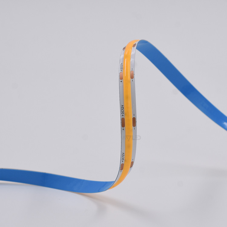 8MM 12V/24V 480LEDs LED Strip 5Meters/Reel WIth High-density Chip-on-Board Technology for Light Project