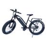 Buy cheap High Speed 48v 1000w Bafangcentral motor Mountain Electric Fat Bike with front suspension fork and LCD color display from wholesalers
